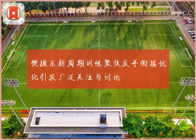 樊振东新周期训练聚焦反手衔接优化引发广泛关注与讨论