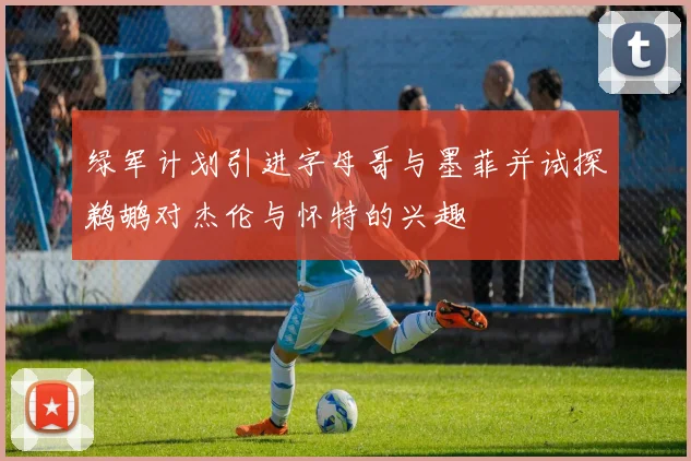 绿军计划引进字母哥与墨菲并试探鹈鹕对杰伦与怀特的兴趣
